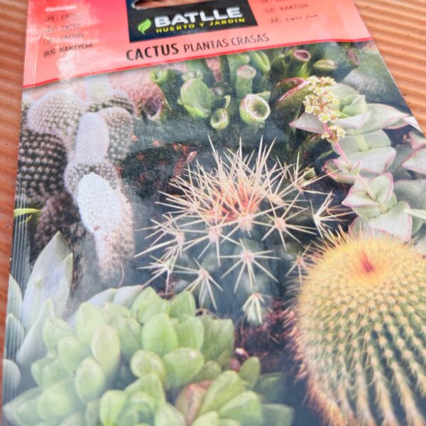Semilla cactus plantas crasas surtido 1