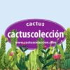 Marcador