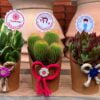 Suculentas y cactus surtidos, decorados para eventos