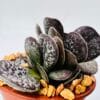 Adromischus maculatus “gota de chocolate”