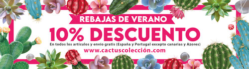 Cactus Colección