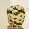 Echinopsis subdenudata cv. Fuzzy Navel monstruosa