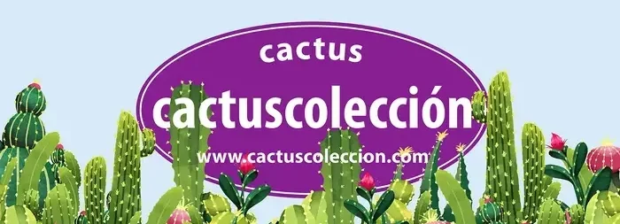 Cactus Colección