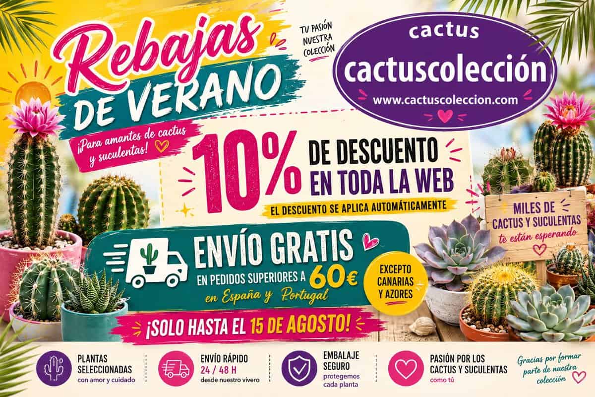 Cactus Colección