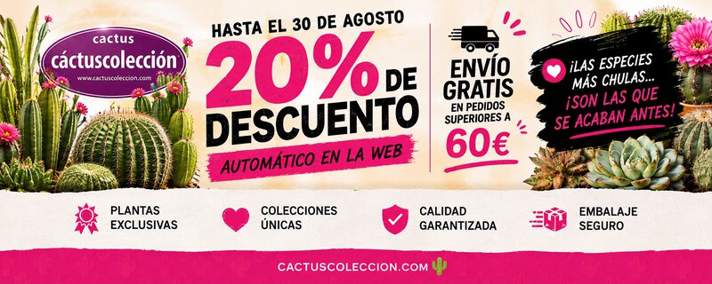 Cactus Colección